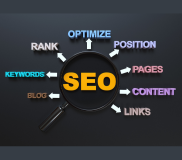 Search Engine Optimization