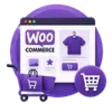Website Development Services